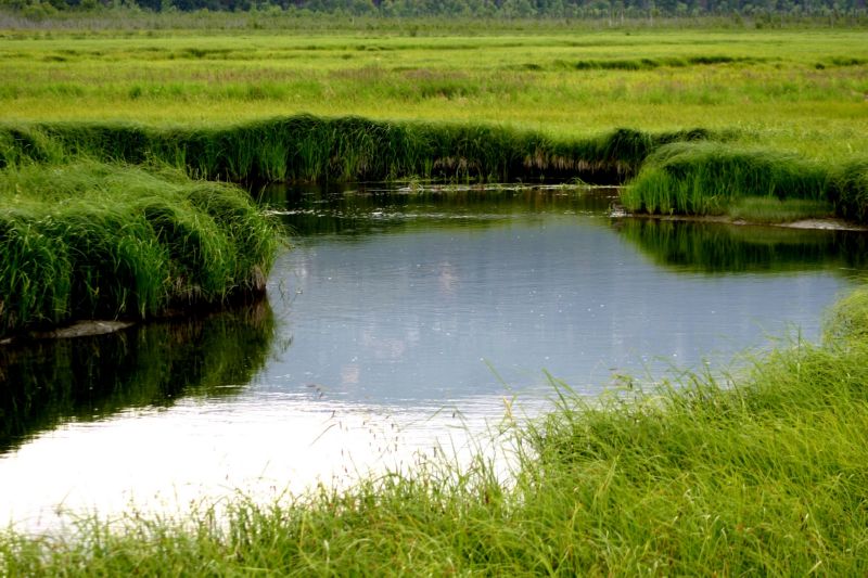 070404 Hope Hatcher Montana Creek (10073)